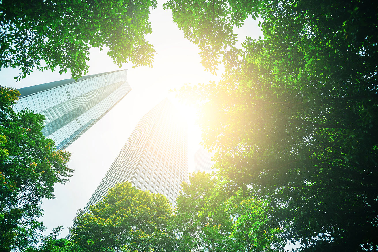 ESG Investing and the Reckoning to Come