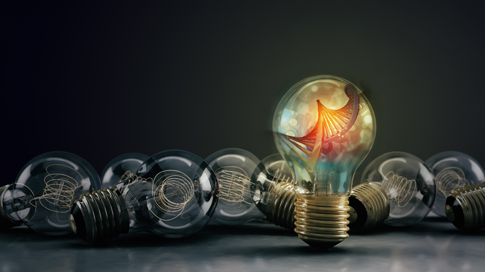 Entrepreneurship
