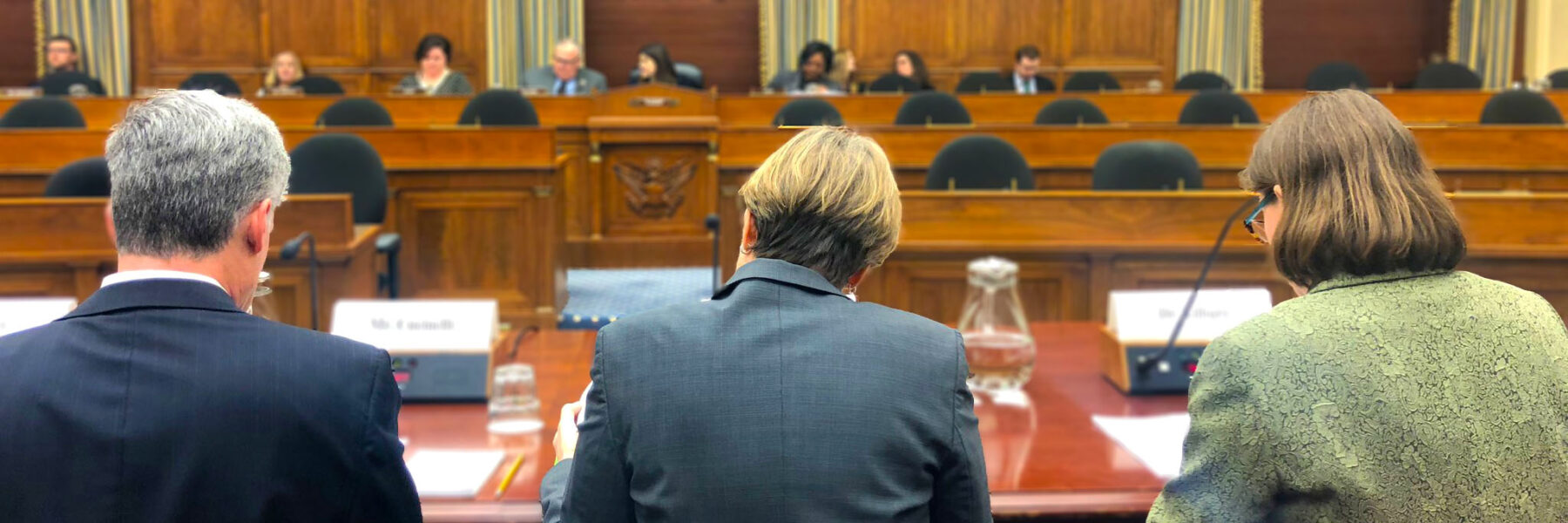 Maryann Feldman testifies