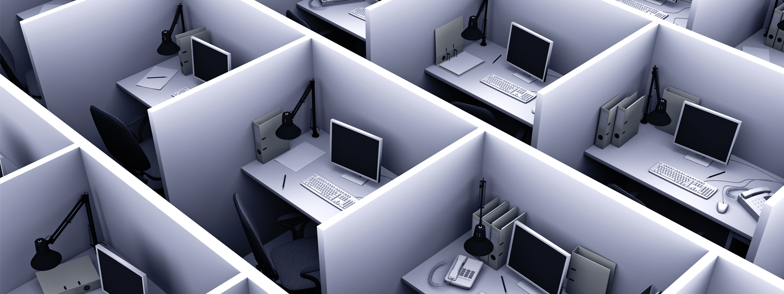 Office workers