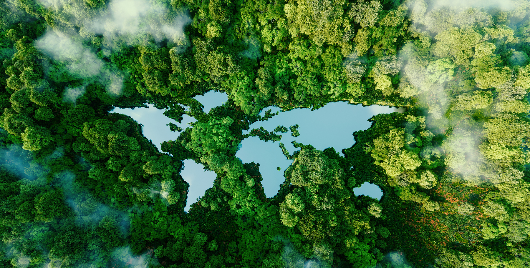 Earth & Environment