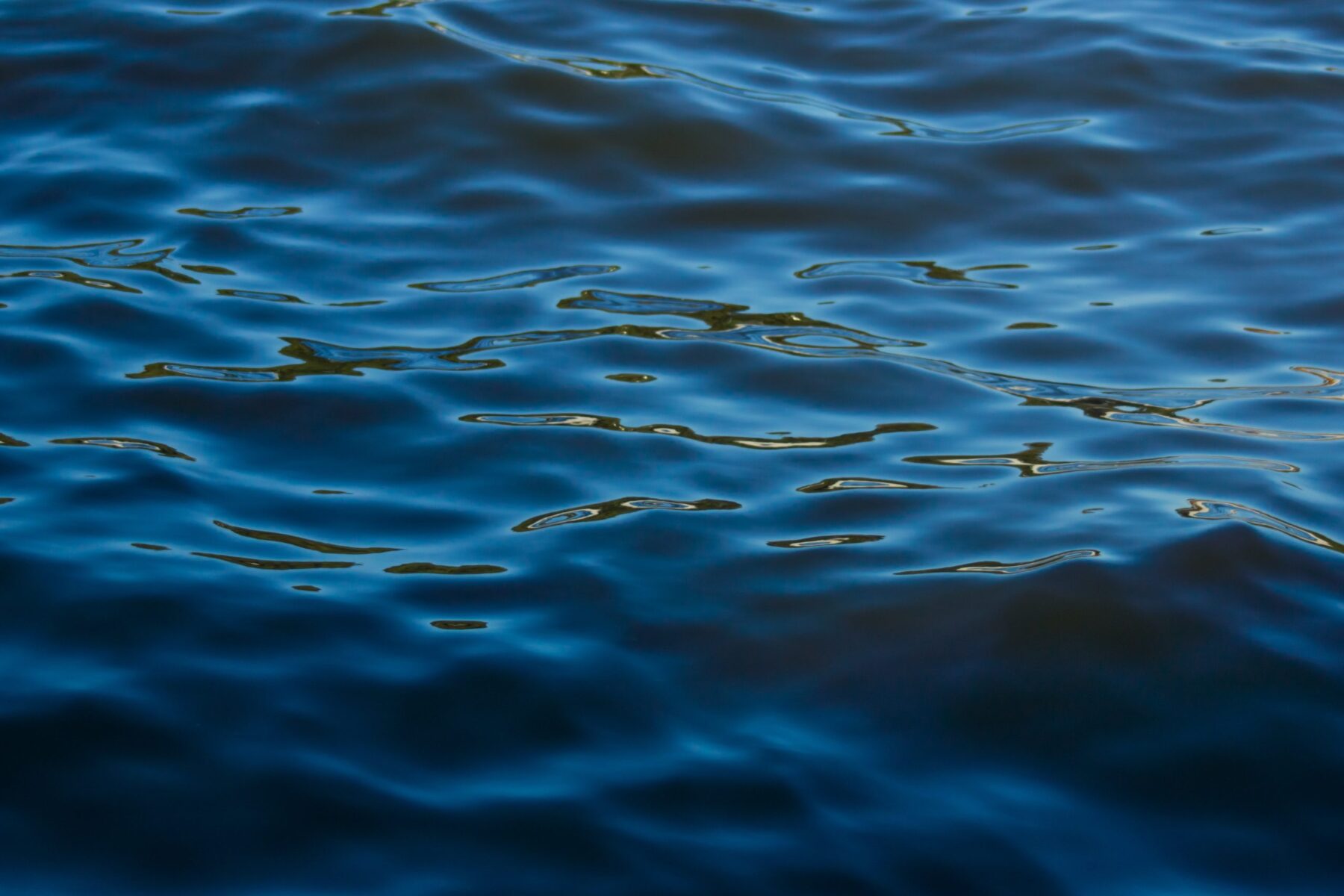 Muddying the Waters: November Economic Briefing