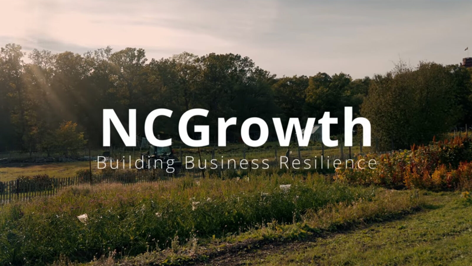 NCGrowth Building Business Resilience
